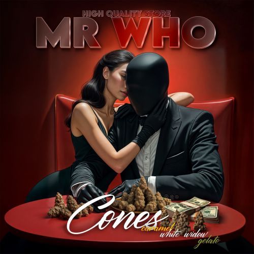 Mr.Who